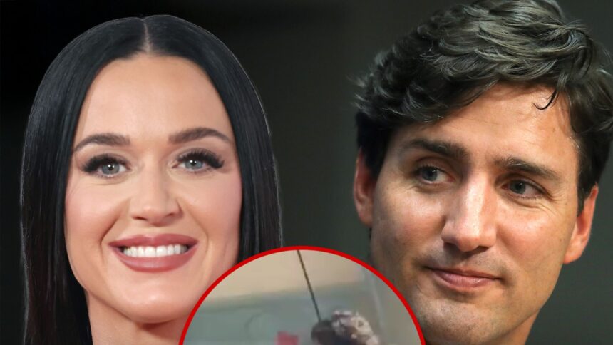 katy perry justin trudeau looked like pals at dinner with no pda chef says 6888eb9f346c7