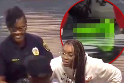 wnba game delayed over flying sex toy 688a235982f66