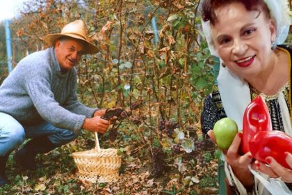 cum tine in frau gherghina stancu o boala grea nu m am culcat pe o ureche cum s ar fi vindecat insa total dorel visan planificare mentala 688daa650d5c7