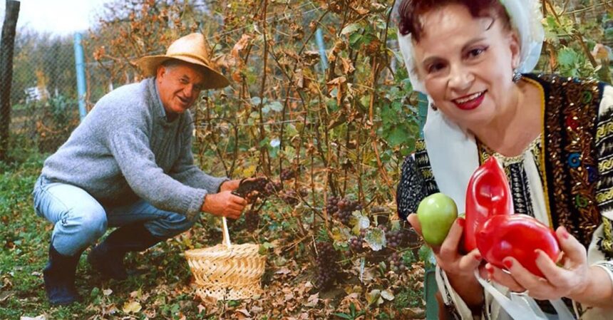 cum tine in frau gherghina stancu o boala grea nu m am culcat pe o ureche cum s ar fi vindecat insa total dorel visan planificare mentala 688daa650d5c7