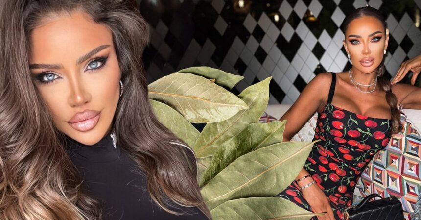 proprietatile de aur ale frunzelor de dafin dormi bustean scapi de stres de ce le tine insa bianca dragusanu in portofel 6890c6b287899