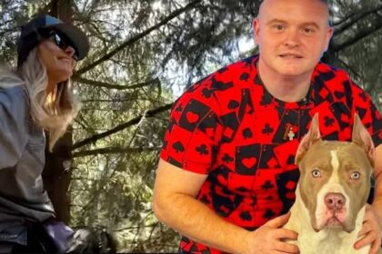 avertismentul dresorului mihai nae dupa spaima trasa de delia in parc cainii trebuie sa fie dotati cu zgarda lesa ham si botnita cainii ne simt frica o umbrela ne poat 68c40de3208e0