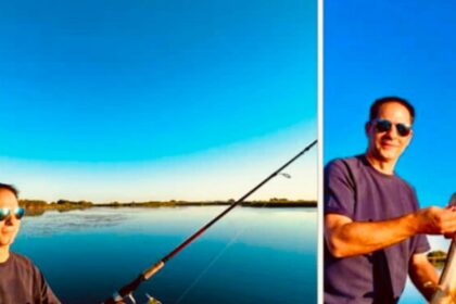 dan negru mesaj important despre productia mare de peste din romania si importul acestuia dar mai bine tac ca pestele in apa 68d8e5829088a