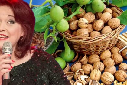 dulceata de nuci verzi preferata nataliei guberna nutritionistii dau verdictul nucile imbunatatesc memoria la ce pret piperat a ajuns un kilogram 68d6ea04576b3