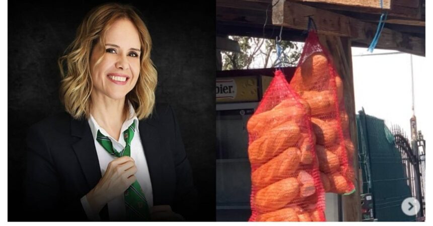 mihaela bilic explica motivul pentru care in magazinele de la tara painea veche se vinde la sac nu stiu daca ati observat 68c3cfc8e6111