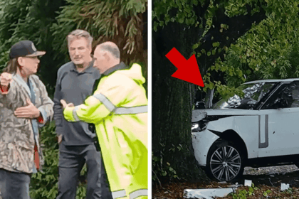 alec and stephen baldwin plow their range rover into a tree and survive 68ed7a8b1b0ed