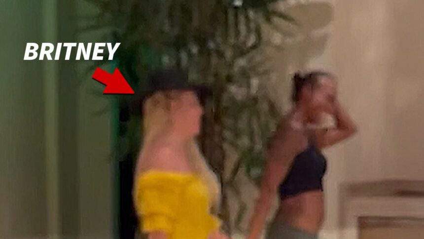 britney spears grabs drinks with friends at l a restaurant 68fc03413deb3