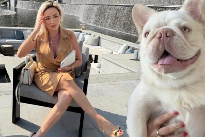 ce super caine si a luat rocsana marcu a platit pentru el cat pentru o garsoniera 68ff7a1a907c4