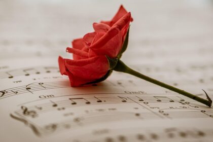 doliu in muzica populara romaneasca o indragita artista s a stins din viata dupa o grea si lunga suferinta cu durere in inima va instiintez ca mi a murit sotia 69022676a9566