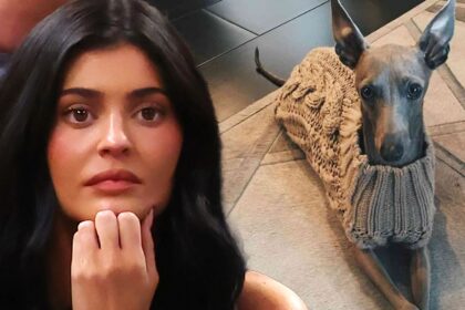 kylie jenner announces her beloved dog norman has died 68f90d0c27167