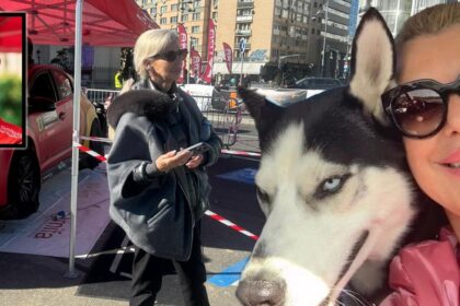 sotia lui mihai leu dezvaluiri cutremuratoare cum se simte anna de cand marele campion nu mai este in viata l am visat am simtit ca imi soptea ceva si zambea 6904ce26e3184