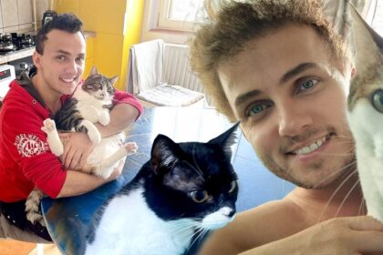 burlacul mihai traistariu imparte casa cu 5 pisici maidaneze toate sunt salvate de pe strada cine are grija de ele cand e la cantari platesc 69274b1670a69
