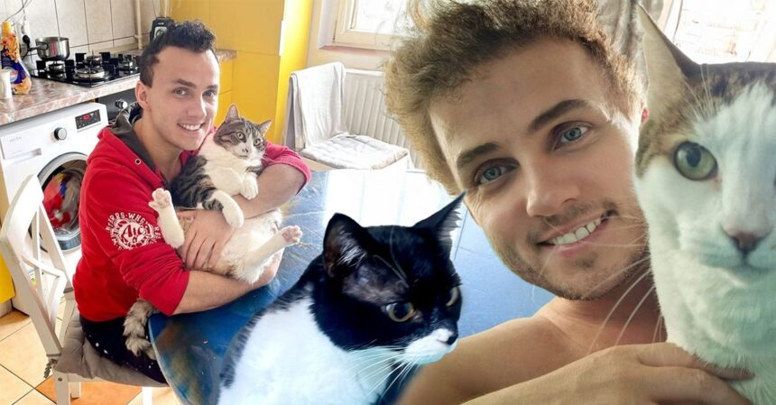 burlacul mihai traistariu imparte casa cu 5 pisici maidaneze toate sunt salvate de pe strada cine are grija de ele cand e la cantari platesc 69274b1670a69