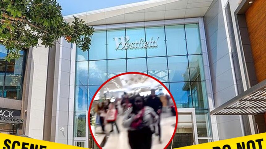 gunman shoots 3 people inside california mall video shows aftermath 692b09d9efc24