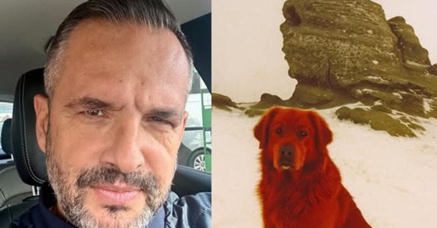 intamplarea stranie de care a avut parte madalin ionescu povestea cainelui rosu intalnit in sfinxul din bucegi nu am mai fost acolo de peste 30 de ani 690b8d841f263