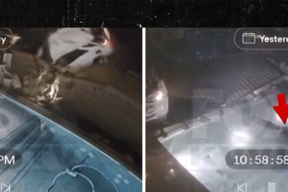 airborne car crashes into yard driver plunges into pool on video 695458e4c5789