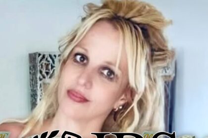 britney spears fighting with irs over 600000 69459ef8dae90