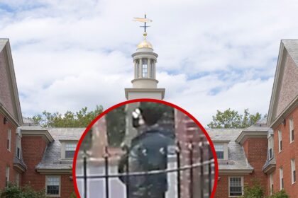 brown university shooting suspect found dead in new hampshire from self inflicted gunshot wound 69453daaec83a