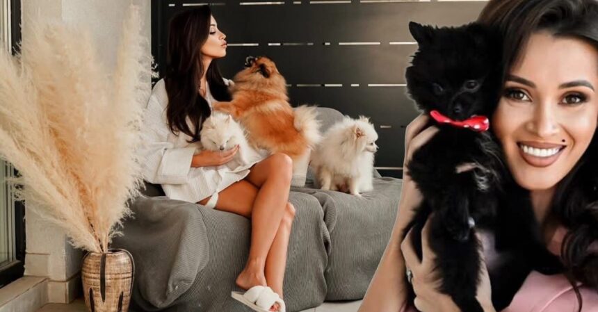 cine e vedeta care nu pofteste la piftie si caltabos de sarbatori nu prea mananc nimic 694cfd5bd3870