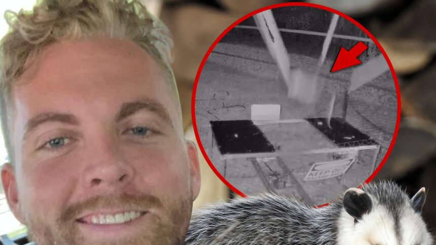 content creator charles ross under investigation for opossum catapult video 6938be786ab36