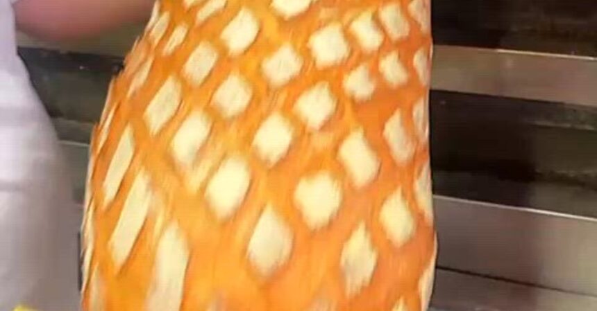 cum arata o paine de aproape 2 metri si unde se gaseste in bucuresti artista claudia ghitulescu a descoperit cum se face si cat costa acest produs record de panificatie 6947e52880b2a