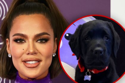 khloe kardashian gets family puppy for christmas 694d8b790477f