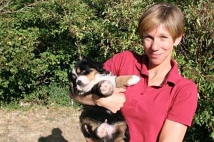 shark attack victim washes up on beach in northern california 6952a74111b2a