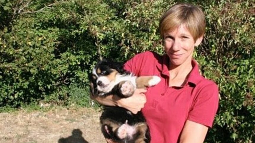 shark attack victim washes up on beach in northern california 6952a74111b2a