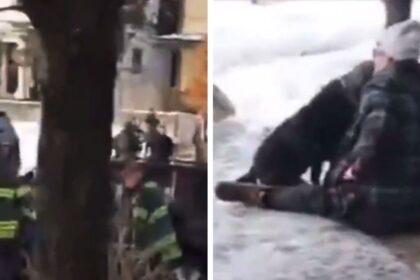 wife of dead woman inconsolable after ice shooting video 695fc03cba87d