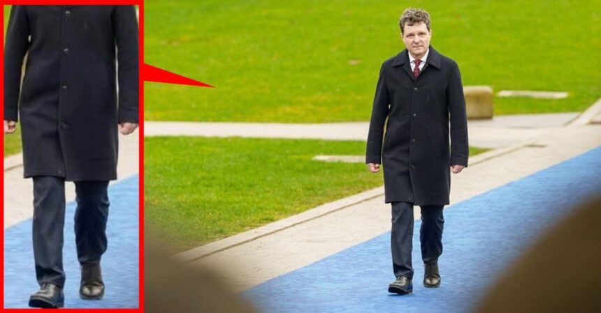 nicusor dan criticat dur de stilisti dupa vizita in belgia ciufulit patat si cu incaltamintea roasa sfatul internautilor du paltonul la spalatorie 69930139a95be