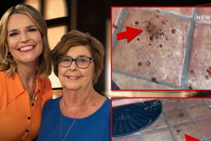 video shows blood outside home of today anchor savannah guthries missing mom 698274045f9b6